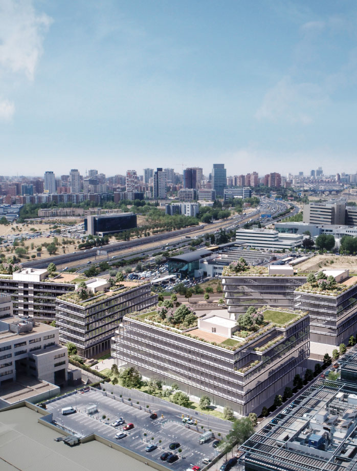 image alt para vertical